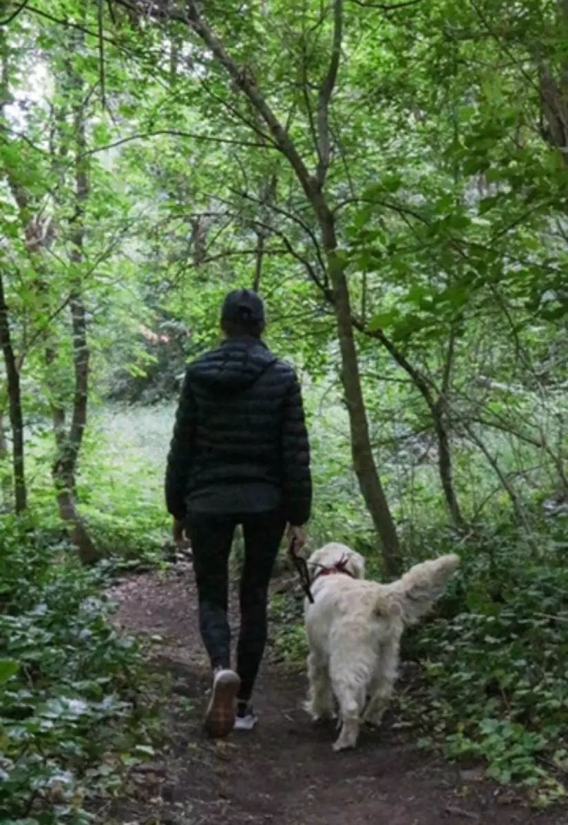 Image showcasing Outdoor Plants Poisonous to Dogs: What You Need to Know
